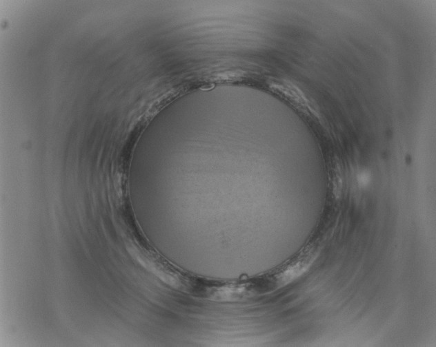 X0000075870366200610062008