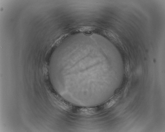 X0000075870367200610062008