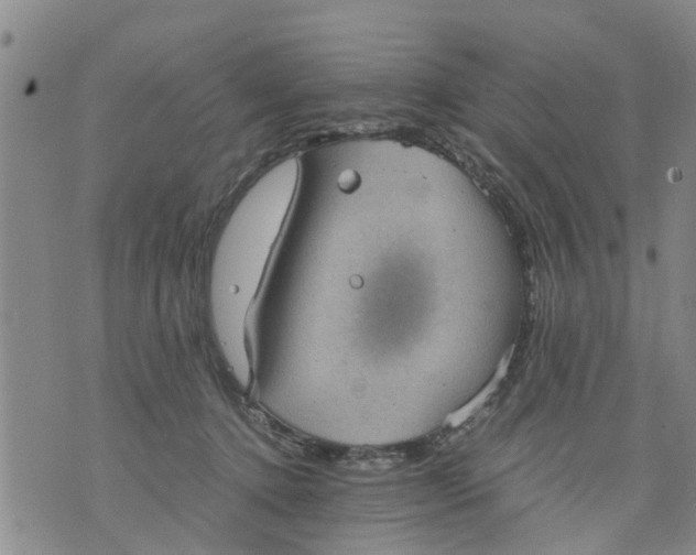 X0000075870368200610062008