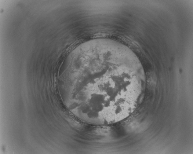 X0000075870369200610062008