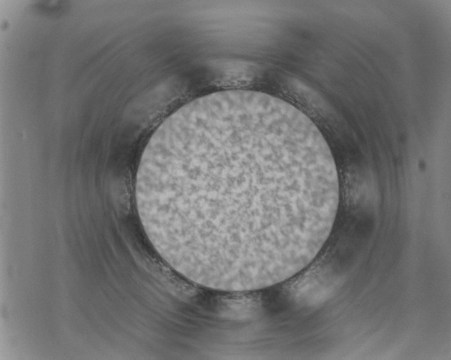 X0000075870370200610062009