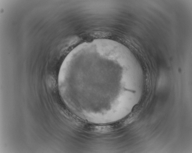 X0000075870371200610062009