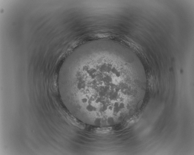 X0000075870373200610062009