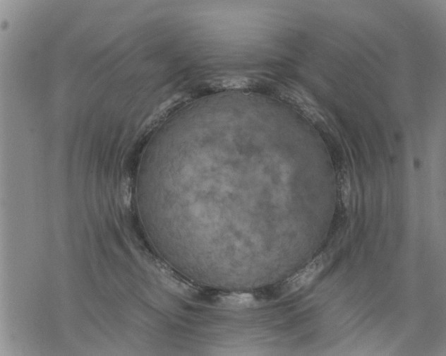 X0000075870374200610062009