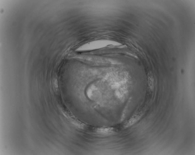 X0000075870375200610062009