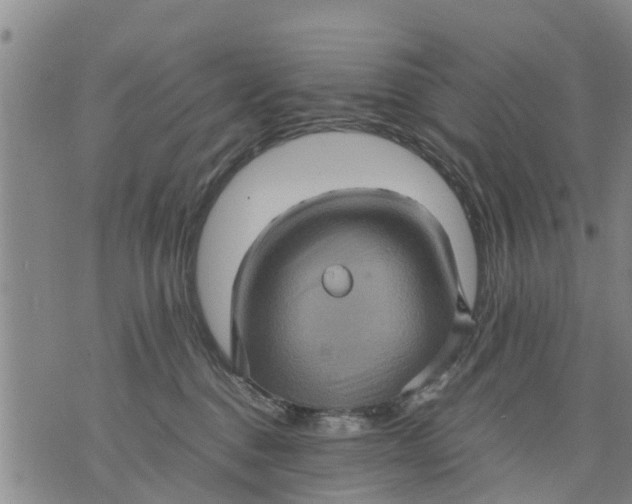 X0000075870376200610062009