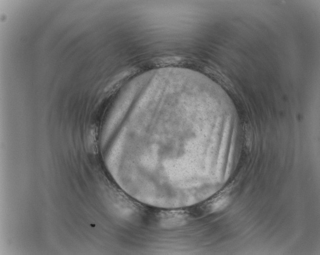 X0000075870378200610062009