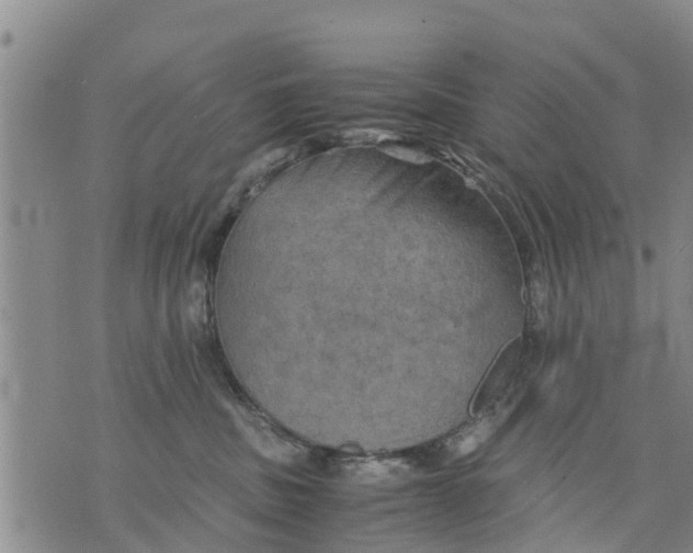 X0000075870379200610062009