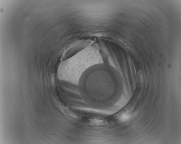 X0000075870380200610062009