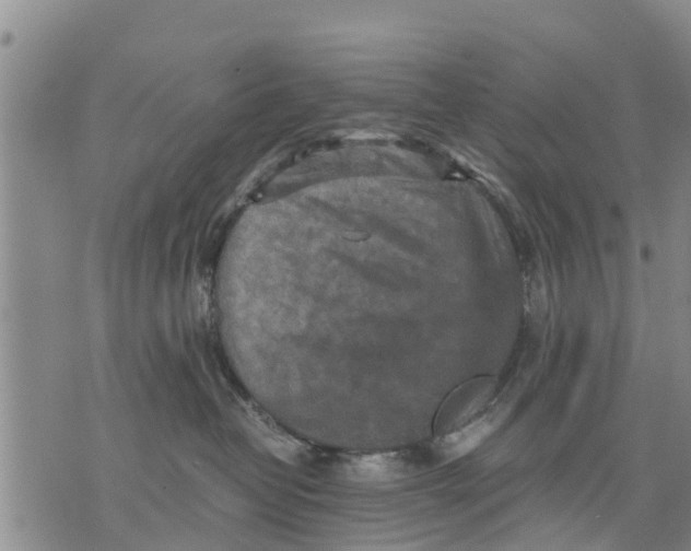 X0000075870382200610062009