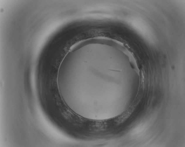 X0000075870383200610062009