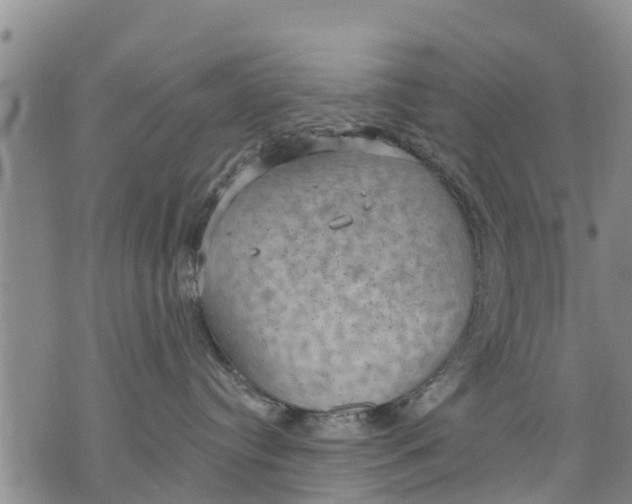 X0000075870384200610062009