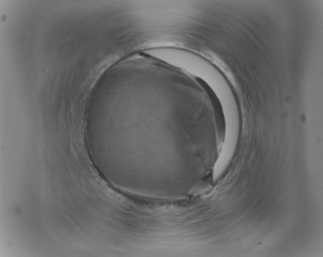 X0000075870385200610062008