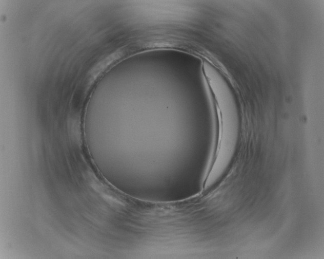 X0000075870386200610062008