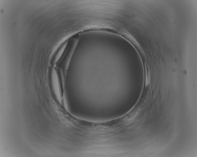 X0000075870387200610062008