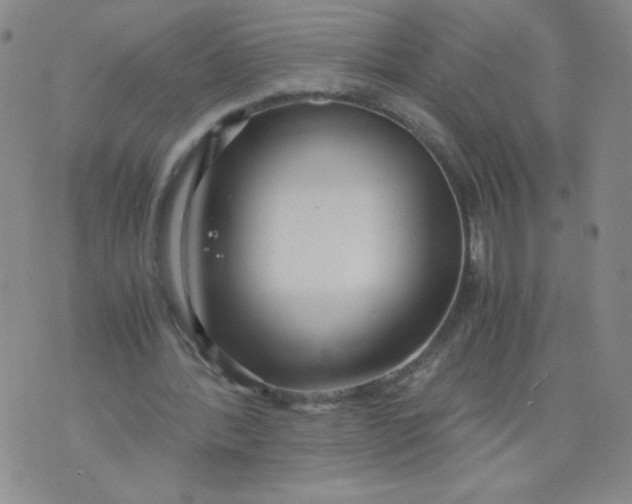 X0000075870388200610062008