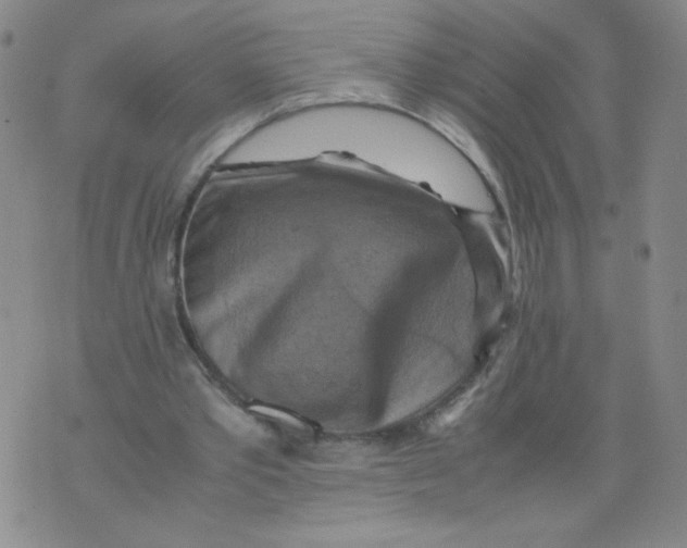 X0000075870389200610062008