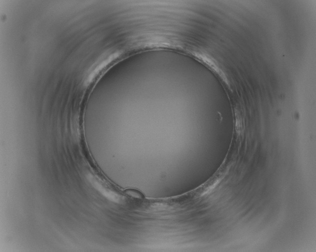 X0000075870390200610062008