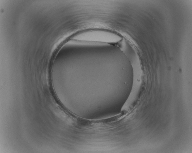 X0000075870391200610062008