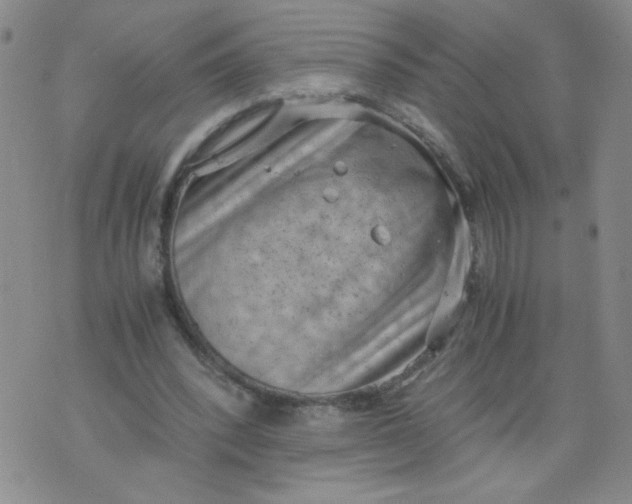 X0000075870392200610062008