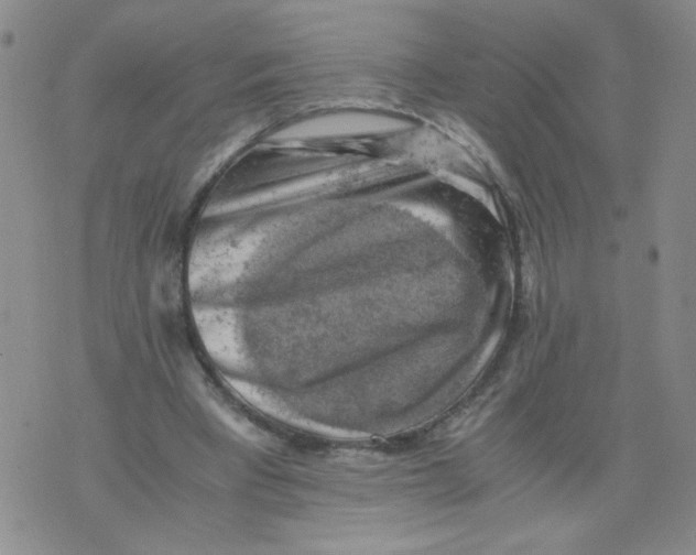 X0000075870393200610062008