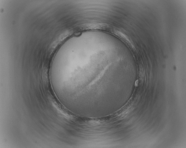 X0000075870394200610062008