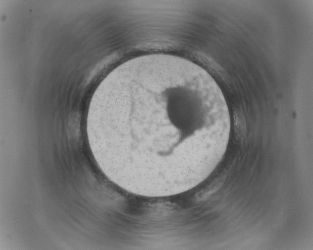 X0000075870396200610062008