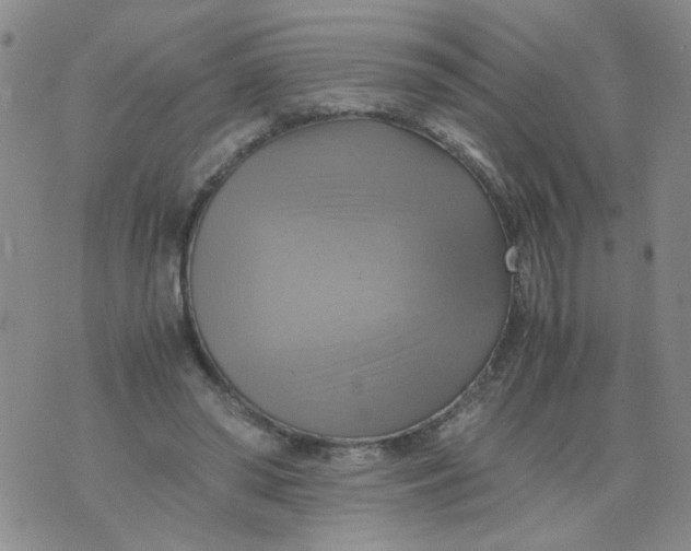 X0000075870398200610062008