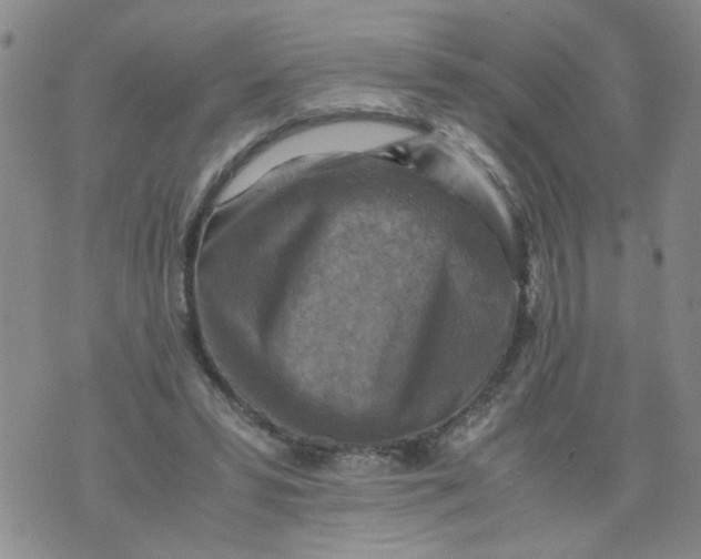 X0000075870399200610062008