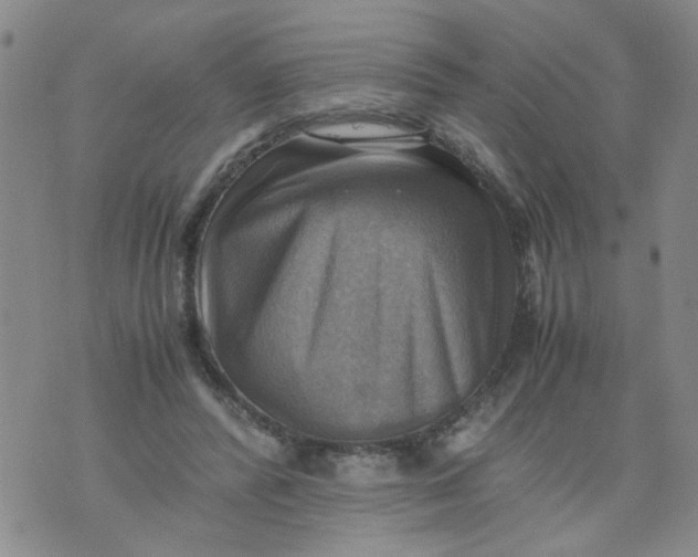 X0000075870400200610062008