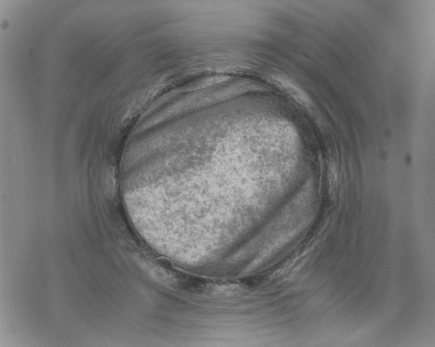 X0000075870401200610062008