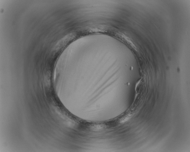 X0000075870402200610062008