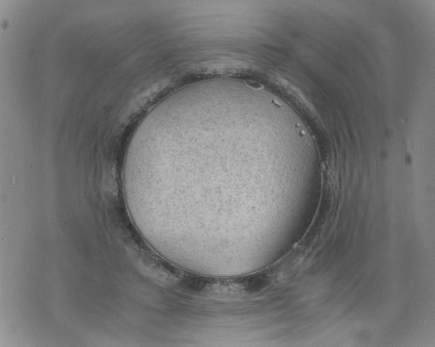 X0000075870403200610062008