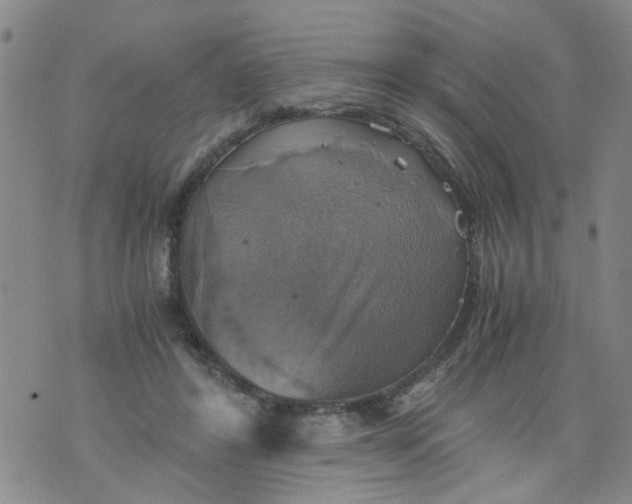 X0000075870404200610062008