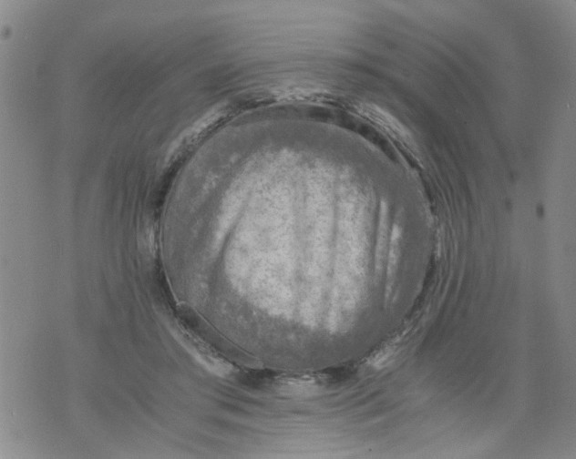 X0000075870405200610062008