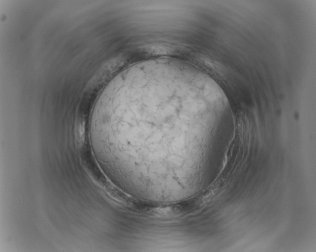 X0000075870406200610062008