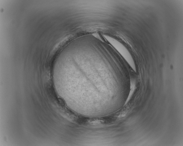 X0000075870407200610062008