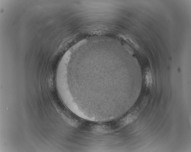 X0000075870408200610062008