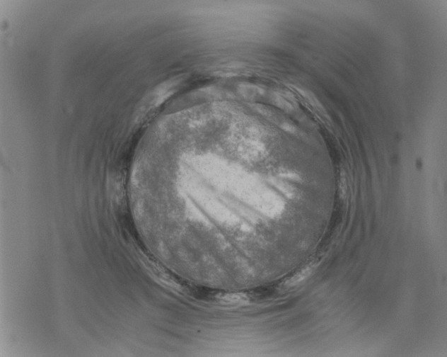 X0000075870409200610062008