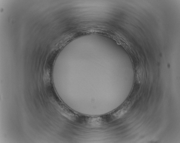 X0000075870410200610062008