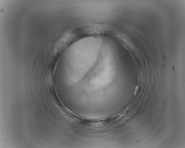 X0000075870411200610062008