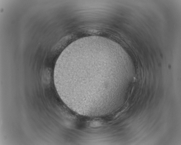 X0000075870412200610062007