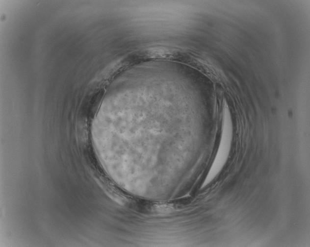 X0000075870413200610062007