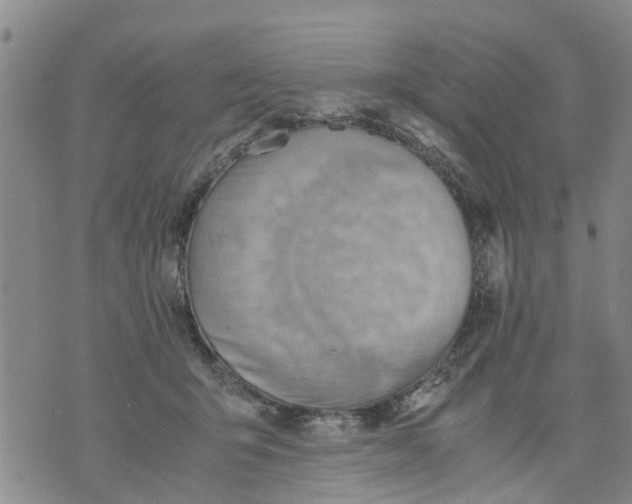 X0000075870415200610062007