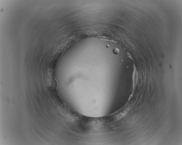 X0000075870416200610062007