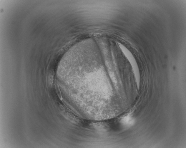 X0000075870417200610062007