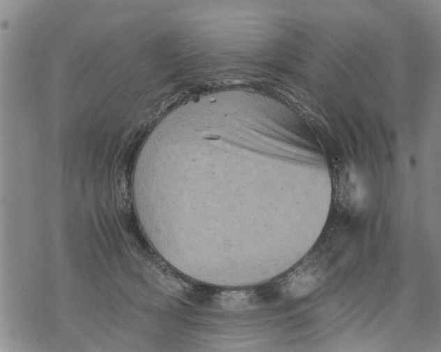 X0000075870418200610062007