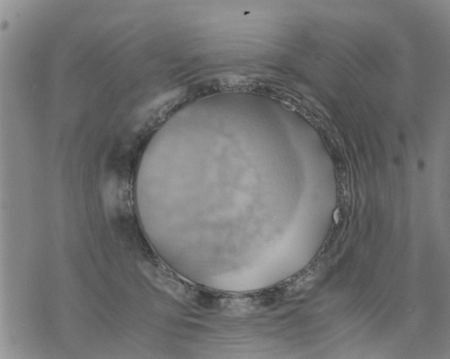 X0000075870419200610062007