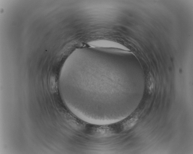 X0000075870420200610062007