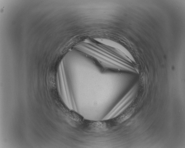 X0000075870421200610062007